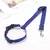 Dois-em-um ajustável Car Seat Belt para Cães, Nylon Leash chumbo, Backseat Cin - Planeta Pet Shop