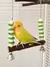 Madeira Bird Swing Training Toy com Sino Suspenso para Calopsitas, Stand Play Gy - Planeta Pet Shop