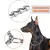 Pesado P Cadeia Dog Choke Collar, prova de intempéries, Metal Slip Coleiras, Ga - Planeta Pet Shop