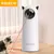 Interativos Automáticos Pet Toys, Laser LED, Smart Teasing, Indoor Cat T - comprar online