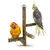 Pet Parrot Stand Brinquedo De Madeira, Pólo De Vara De Pé, Molar De Mordida, M - comprar online