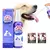 Pet Teeth Cleaning Spray, Oral Care, Remover manchas dentárias, Manter o hálito fresco para cães e gatos, Clareamento, Remove o mau hálito - Planeta Pet Shop