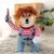 Engraçado Pet Dog Cosplay Roupas, Novidade Puppy Halloween Costumes, Camisola d