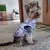 Roupas para cães pequenos, Yorkia Mini Chihuahua Dog Clothes, Jaqueta Cat, Casa na internet