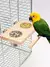 Imagem do Aço inoxidável pássaro alimentação tigela, alimentação pratos copos, madeira poleiro stand, papagaio gaiola alimentador para aves de estimação, calopsitas, Lovebird Conures 1 pc