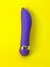 Vibrador Golfinho Multivelocidades na internet