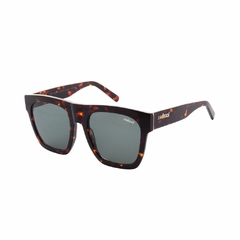 Óculos de Sol Colcci BROOKLYN Feminino Quadrado em Acetato Demi na internet