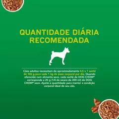 Sachê Dog Chow Adulto Mini e Pequeno Porte Sabor Carne 100g - Sachelandia