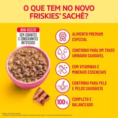 Sachê Friskies Filhote Sabor Carne ao Molho 85g na internet