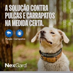 Nexgard Antipulgas e Carrapatos 11,3 mg para Cães de 2 a 4kg com 3 tabletes - loja online