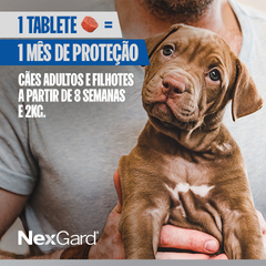 Nexgard Antipulgas e Carrapatos 11,3 mg para Cães de 2 a 4kg com 3 tabletes - Sachelandia