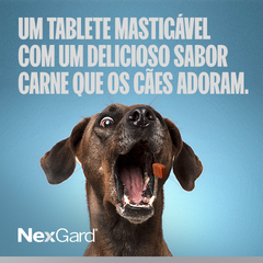 Nexgard Antipulgas e Carrapatos 11,3 mg para Cães de 2 a 4kg com 3 tabletes - comprar online