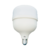 LED Globe Kian 50W