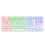 TECLADO USB REDRAGON K552RGB KUMARA MECANICO BLANCO - SWITCH BLUE