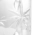 Jarra de Cristal Palm Tree Transparente 1,5L - Wolff - loja online