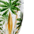 Conjunto 6 Taças de Cristal Palm Tree Handpaint 450ml - Wolff - comprar online