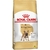 Royal Canin Shn Bulldog Frances Adult 2.5kg