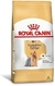 Royal Canin Rac Caes Adulto Yorkshire Terrier 1kg