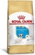 Royal Canin Bulldog Frances Junior 1kg