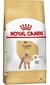 Royal Canin Poodle Adult 1kg