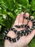 Califórnia King Snake Padrão Comum (Lampropeltis getula)