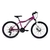 RALEIGH SCOUT R24 FUCSIA