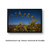 Quadro Decorativo Parque Nacional - Banisteriopsis SP - comprar online