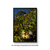 Quadro Decorativo Parque Nacional - Flor do Pequi - comprar online