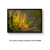 Quadro Decorativo Parque Nacional - Vochysia - comprar online