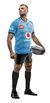 BLUE BULLS HOME ADULTOS - CAMISETA RUGBY KAPHO en internet