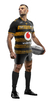 LONDON WASPS 2023 ADULTOS - CAMISETA RUGBY KAPHO - tienda online