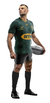 Imagen de SUDAFRICA SPRINGBOKS HOME ADULTOS - CAMISETA RUGBY KAPHO