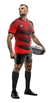 TOULUN TOP 14 ADULTOS - CAMISETA RUGBY KAPHO - KAPHO DEPORTES MAYORISTA