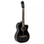 VIOLAO TAKAMINE GC2CE BLK & TP4T