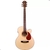 VIOLAO ELETRO-ACUSTICO WALDMAN FCEX-340 N