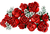 Lego® Botanicals Ramo De Rosas 10328