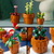 Imagen de Lego® Icons Plantas Pequeñas Set De Construcción Ornamental Para Adultos, Modelos De Adorno De Especies Carnívoras, Tropicales Y Áridas, Colección Botanical 10329