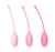 Set Kegel SHD-S223-2 - tienda online