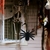 Araña Decorativa Halloween Gigante Negra 10cm - Montenegro Shop