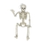 Esqueleto Colgante Halloween Posable en internet