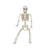 Esqueleto Colgante Halloween Posable - Montenegro Shop