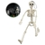 Esqueleto Colgante Halloween Posable