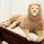 Peluche Gigante de León 45 cm Realista - comprar online