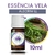 Amostra Essência Vela Alecrim LL (10ml)