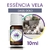 Amostra Essência Vela Dass Gold (10ml)