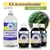 Kit Aromatizador e Difusor de Ambiente Alecrim LL (Materia Prima)