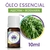 Óleo Essencial de Alecrim - Rosmarin (10ml) - comprar online