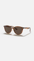 Ray-Ban 4305 ERIKA HIGHSTREET ORIGINALES - Epic Label