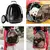 Mochila Astronauta, Bolsa Pet Visão Panorâmica, Cachorro Gato, Lorben - comprar online