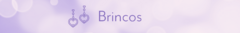 Banner da categoria Brincos